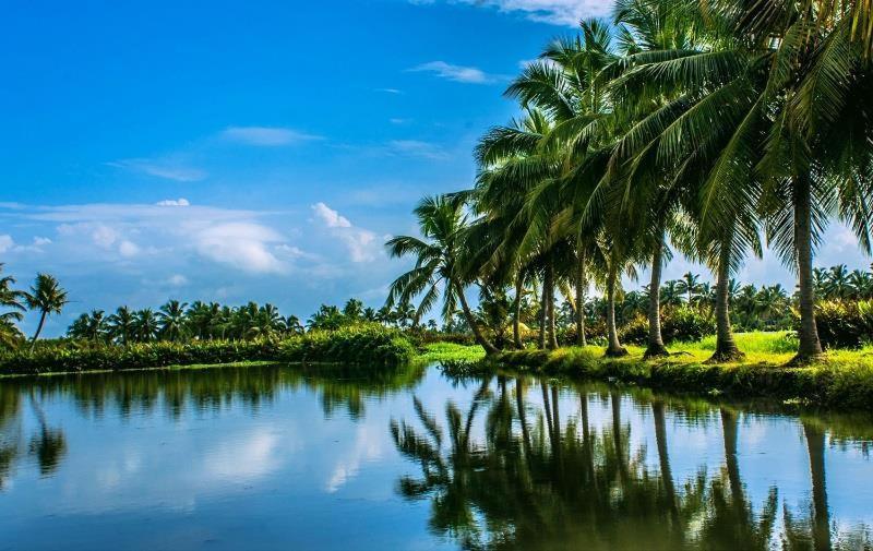 Golden Beach Home Stay Alappuzha Buitenkant foto